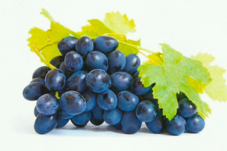 Uvas