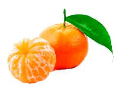 mandarina