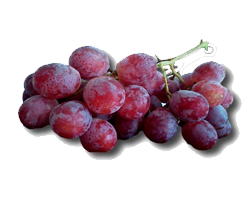uvas